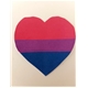 Temporary Tattoo Bisexual Heart